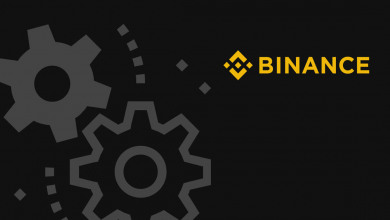 Binance team                                      