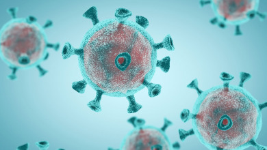 Coronavirus Bitcoin darknet                       