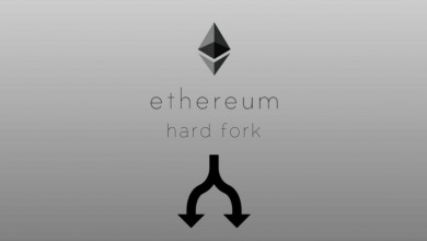 Hardfork                                          