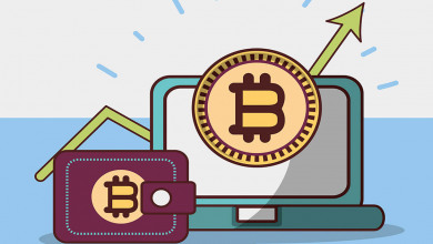 crypto wallets and exchanges                      