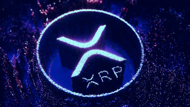 XRP                                               