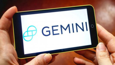Gemini exchange credit card                       