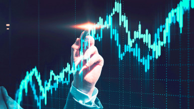 Institutional investors                           