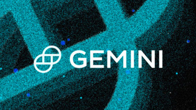 Gemini                                            
