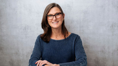 Cathie Wood Ark Invest                            