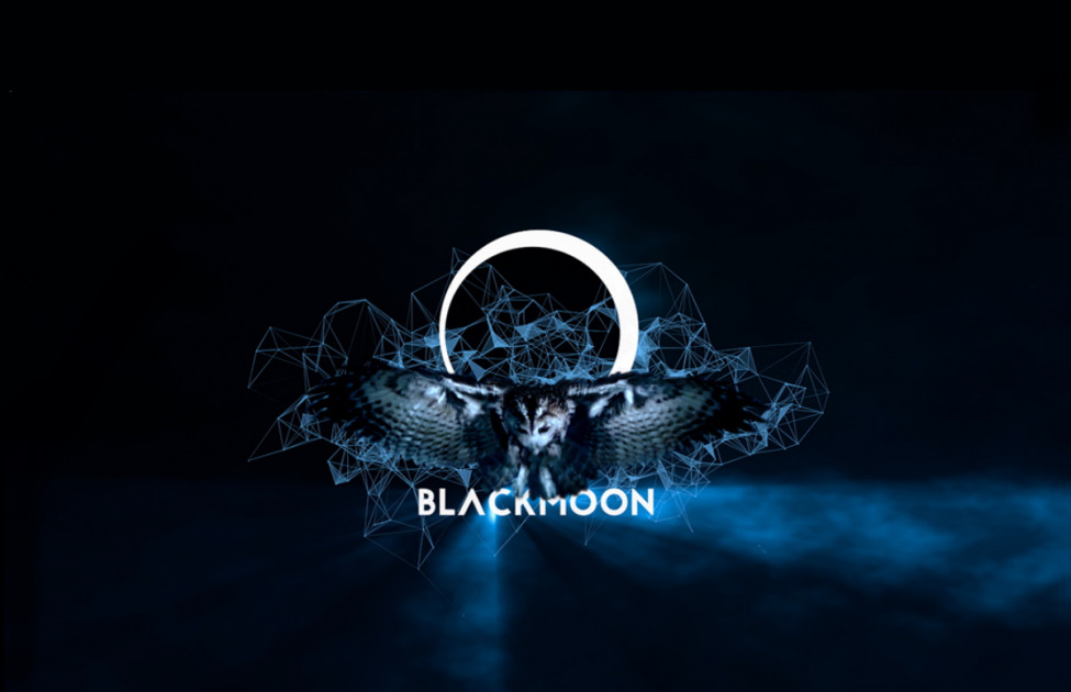 Blackmoon will list TON                           