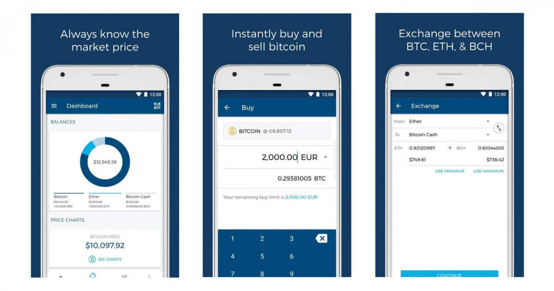 Blockchain and BitPay                             