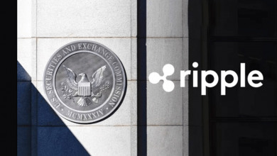 SEC vs Ripple XRP                                 