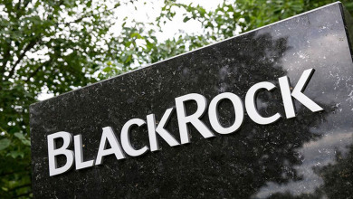 BlackRock Bitcoin                                 
