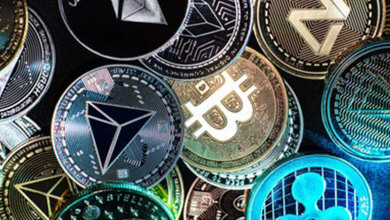 crypto investments survey                         