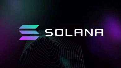 ByBit Solana report                               