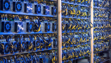 China confiscated miners                          