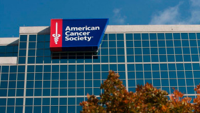 The American Cancer Society                       