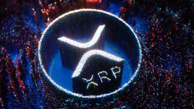 XRP price surges 12.25.2020                       