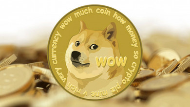 Dogecoin surged by 25%                            