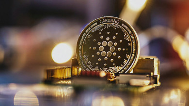 Cardano ADA 20 million transactions               