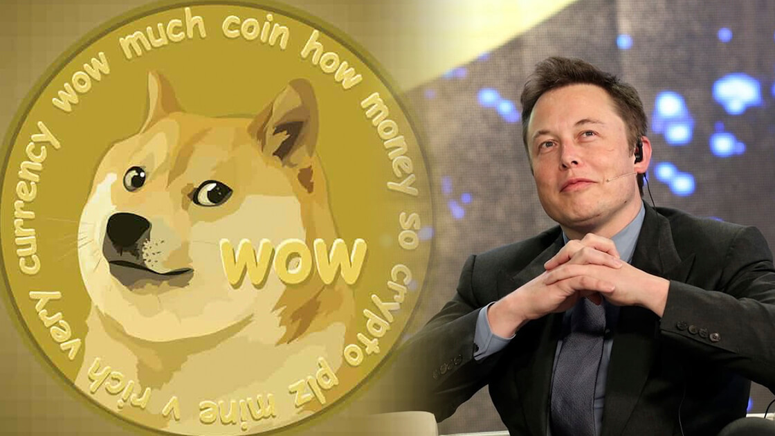 Elon Musk Dogecoin Bitcoin                        