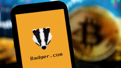 Badger DAO Improvement Proposal                   