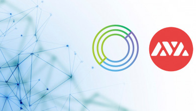 Avalanche Circle usdc                             