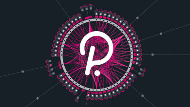 Polkadot parachains auctions                      