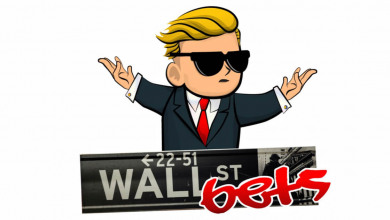 Reddit WallStreetBets token                       