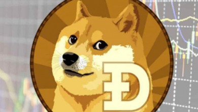 Doge market cap surge                             