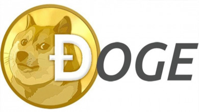 Dogecoin price is going up after decline          