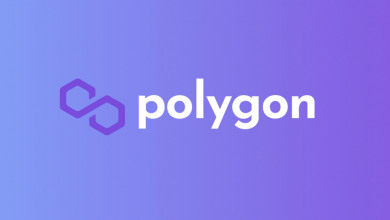 Polygon MATIC investment round                    