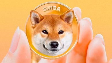 Shiba                                             