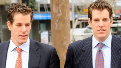 Gemini Winklevoss brothers                        