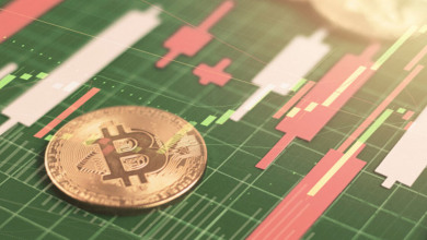 Rothschild Investment GBTC                        