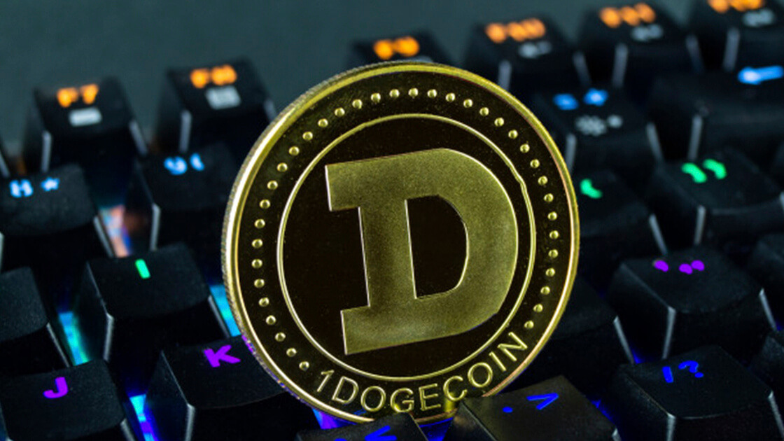 Dogecoin reaches new highs                        