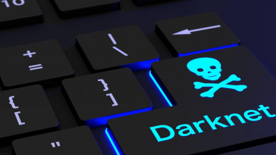 Darknet                                           