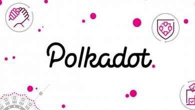 Polkadot new all time high                        