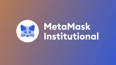 MetaMask Institutional DeFi                       
