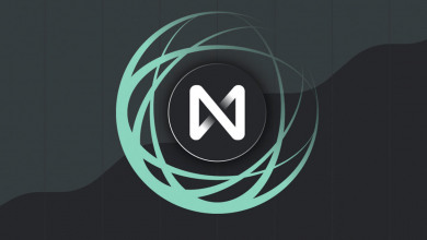 Near protocol crypto                              