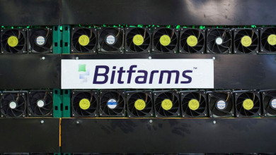 Bitfarms January 2022 Bitcoin                     