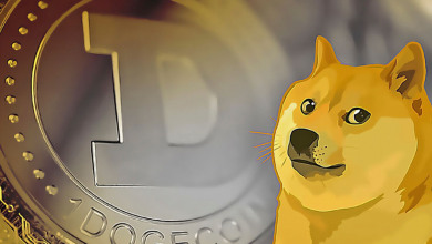Tesla merch Dogecoin                              