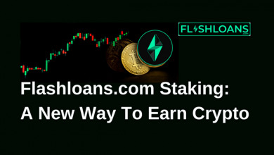 Flashloans                                        