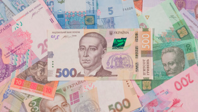 hryvnia                                           