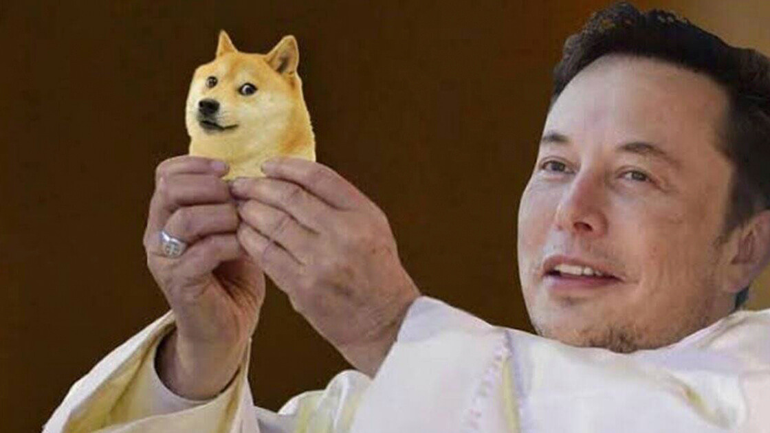 Elon Musk memes Dogecoin                          