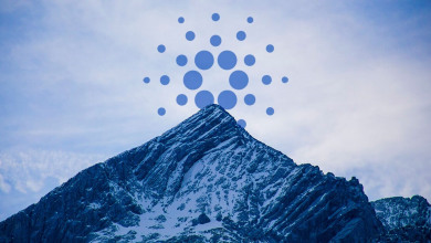 Cardano                                           