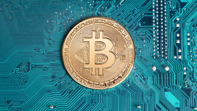 Lightning Network Fed                             