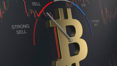 Bitcoin fear and greed index                      