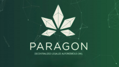Paragon ICO court                                 