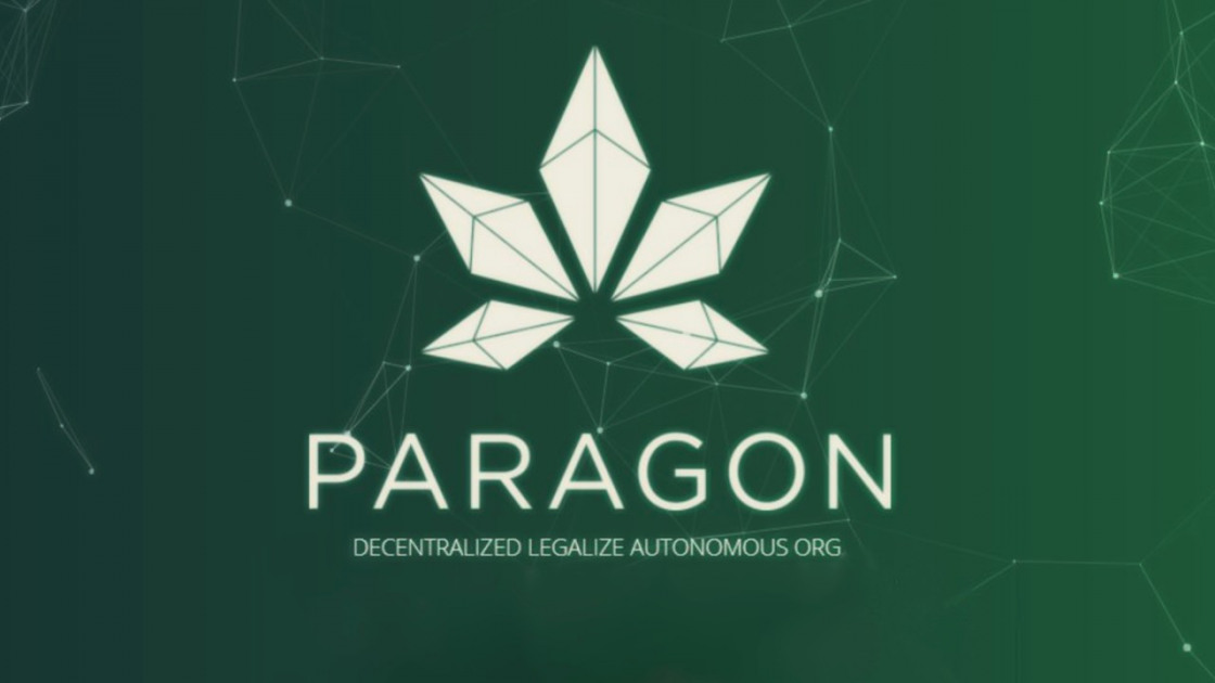 Paragon ICO court                                 