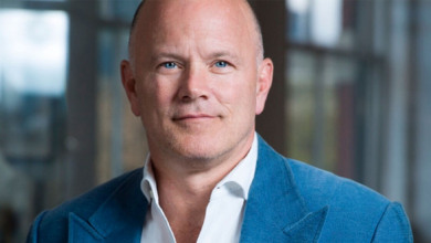 Mike Novogratz                                    
