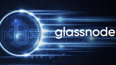 Glassnode Bitcoin Ethereum                        