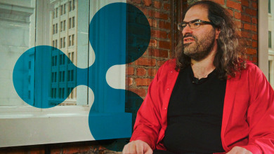 David Shwartz Ripple                              