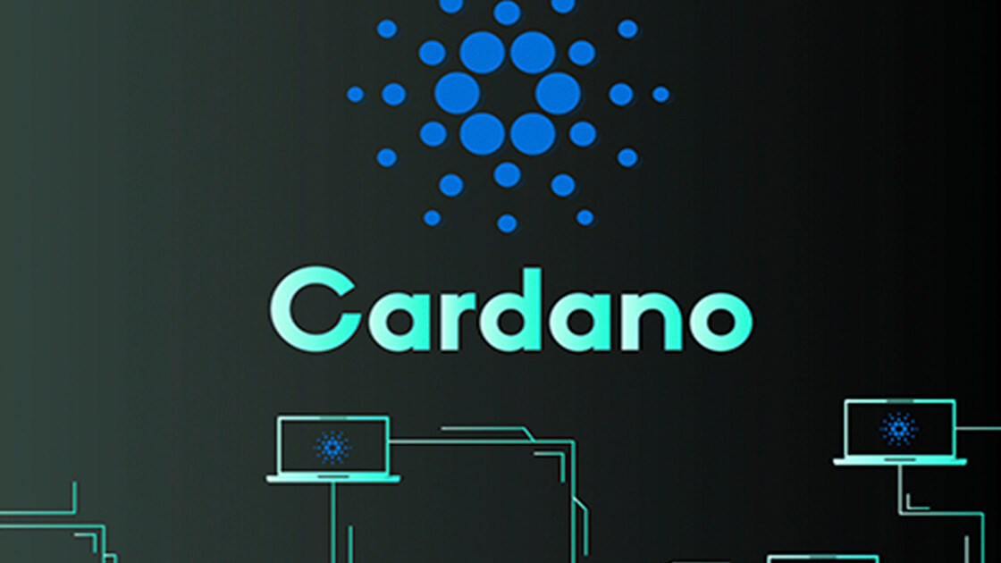 Cardano guide                                     